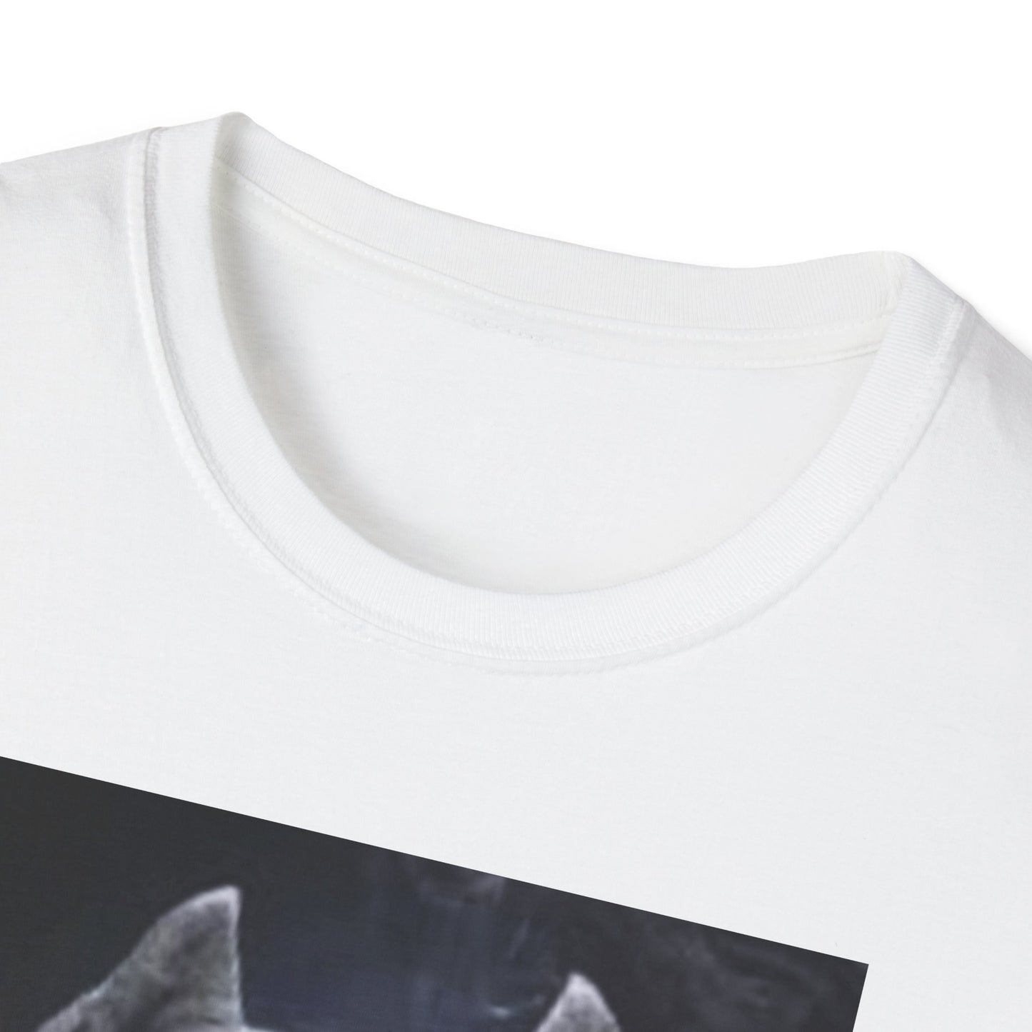 Best Unisex T shirts for Pit Bull Lovers