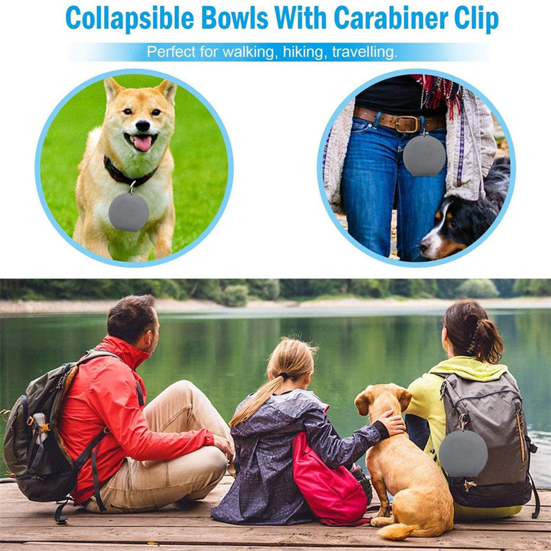 Collapsible Rubber Double Pet Feeding Bowls